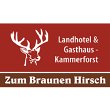 hotel-braunen-hirsch-inh-steffi-kleinsteuber