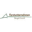 forstunternehmen-bergelt-gmbh