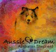 aussie-dream-mini-american-dream