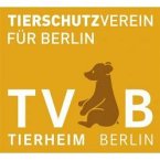 tierschutzverein-fuer-berlin-und-umgebung-corporation-e-v