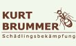 kurt-brummer