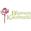 manfred-kaufmehl-blumen