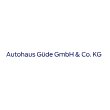 autohaus-guede-gmbh-co-kg