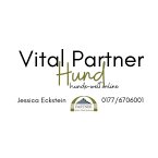 vital-partner-hund-jessica-eckstein-zertifizierte-reico-partnerin
