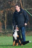 der-hundetrainer-com