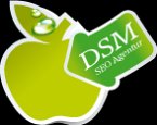 dsm---dirosign-media-seo-agentur