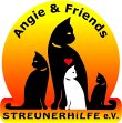 angie-friends---streunerhilfe-e-v