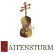 saitensturm-de