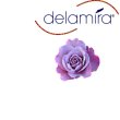 delamira-gmbh