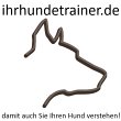 ihr-hundetrainer-martin-scharf