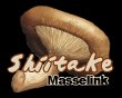 shiitake-pilzzucht-masselink---tilligte-nl