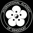 wingchun-landau