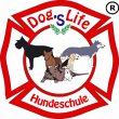 dog-s-life-hundeschule