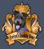 evelyn-s-snobby-dogs