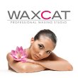 waxcat---waxing-sugaring