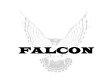 falcon-detektei-und-security-service-gmbh