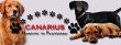 canarius-hundefutter-fuer-fleischliebhaber