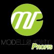 modellsport-profis