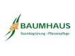 baumhaus-gmbh-raumbegruenung-pflanzenpflege