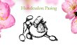 hundesalon-le-groom-pasing-muenchen