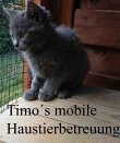 timos-haustierbetreuung