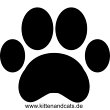www-kittenandcats-de