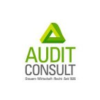 audit-consult
