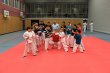 tsv-loechgau-karate