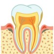 zahnarzt-dr-med-dent-wolfgang-hiltscher