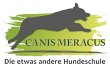 canis-meracus-hundeerziehungsberatung-und-mantrailing-coaching