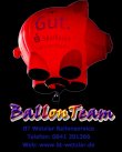 bt-wetzlar-haus--und-ballonservice