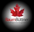 baum-buettner