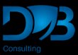 daniel-blinzler-consulting