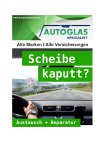 autoglas-spezialist-waldshut---tiengen