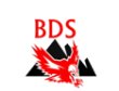 bds-detektei