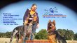 gb-hundetraining---mit---spass