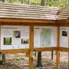Die Infotafel im FriedWald Planitzwald gibt einen Überblick über den Wald und das Konzept. 