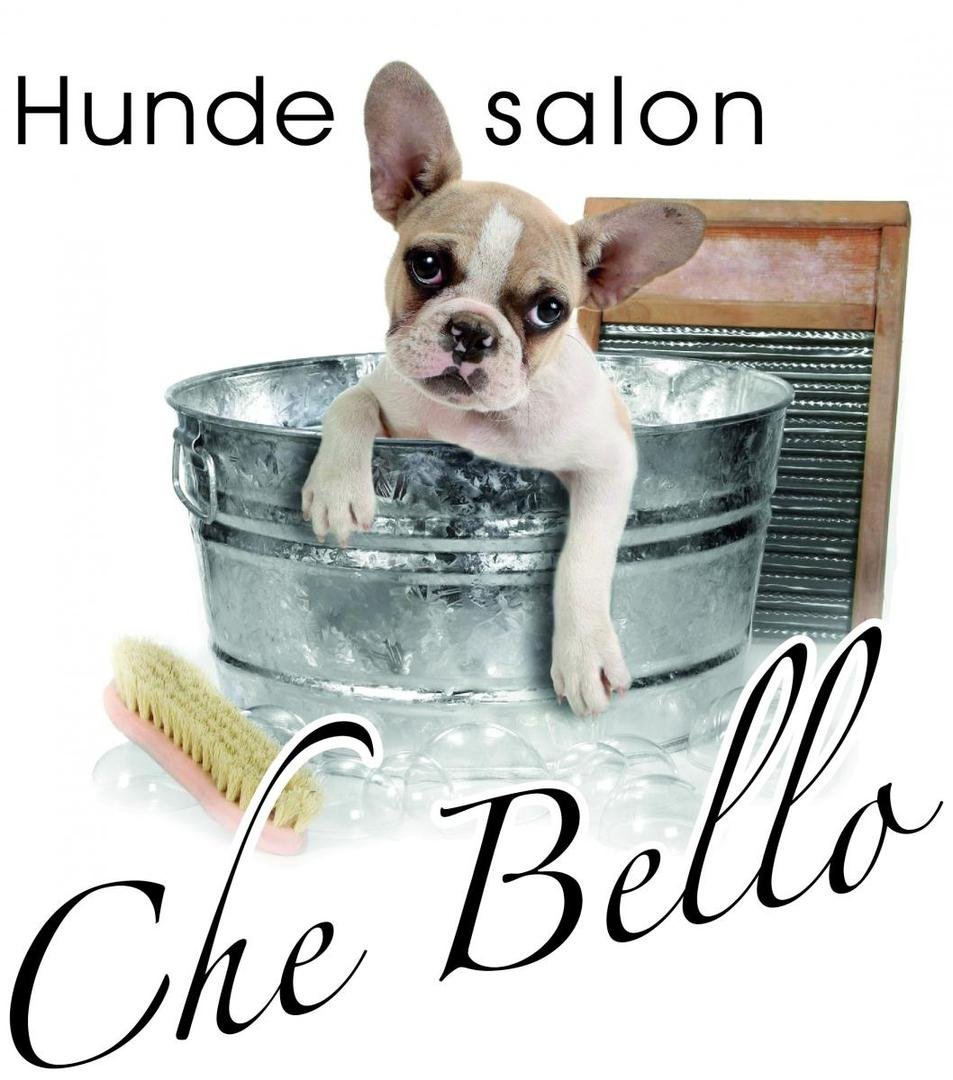 Hundesalon Che Bello » Hundefutter in Zell am Harmersbach
