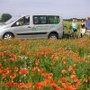 Blauer Himmel, roter Mohn, eine traumhaft schöne Region.