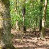 Der Infopfad erläutert die verschiedenen Grabarten im FriedWald Nuthetal-Parforceheide.