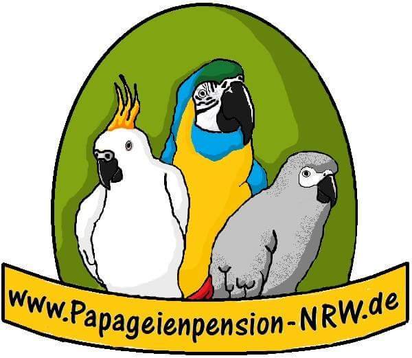 Papageienpension-NRW.de » Papagei in Goch