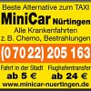 TAXI Alternative Minicar Logo