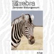 zebra-zentraler-bildungsraum