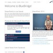 bluebridge-technologies
