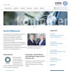anykey-gmbh-consulting-service