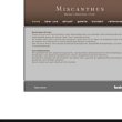 miscanthus-blumen-blumeneinzelhandel