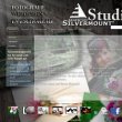 silvermount-studio