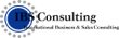ibs-consulting-ltd-co-kg