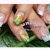 nagelstudio-unique-nailart-design-silke-reudenbach