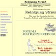 reinigung-strauss